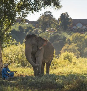 Anantara Golden Triangle Elephant Camp
