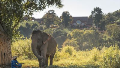 Anantara Golden Triangle Elephant Camp