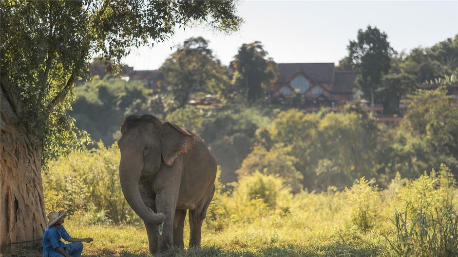 Anantara Golden Triangle Elephant Camp Exterior
