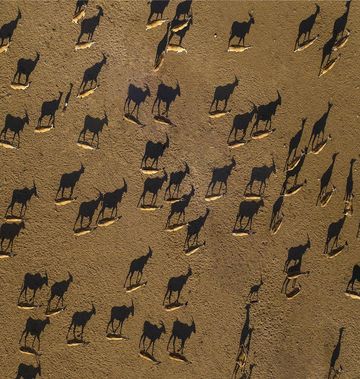 Anantara Al Sahel Villa Resort
