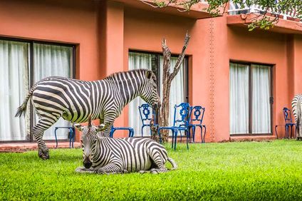 Avani Victoria Falls Resort