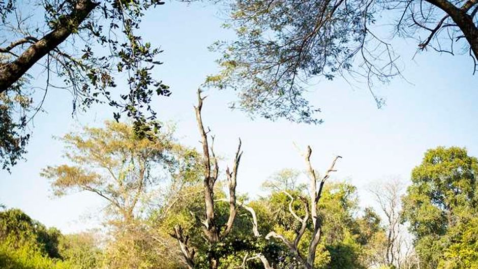 Avani Victoria Falls Resort Meeting
