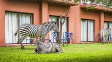 Avani Victoria Falls Resort