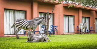 Avani Victoria Falls Resort