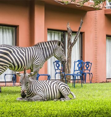 Avani Victoria Falls Resort