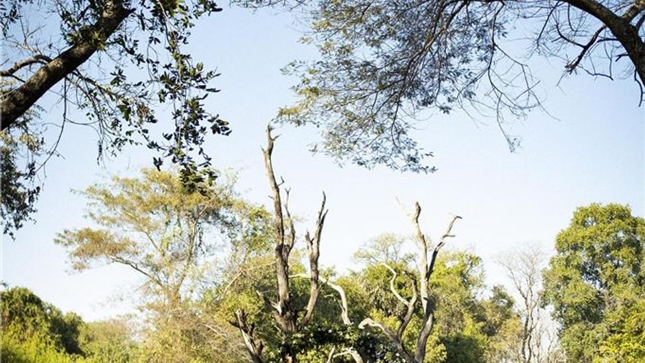 Avani Victoria Falls Resort Meeting