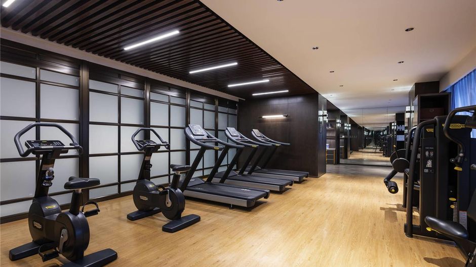 Novotel Xian Xixian Health
