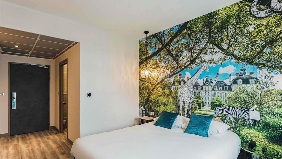 Ibis Styles Contres-Cheverny Room