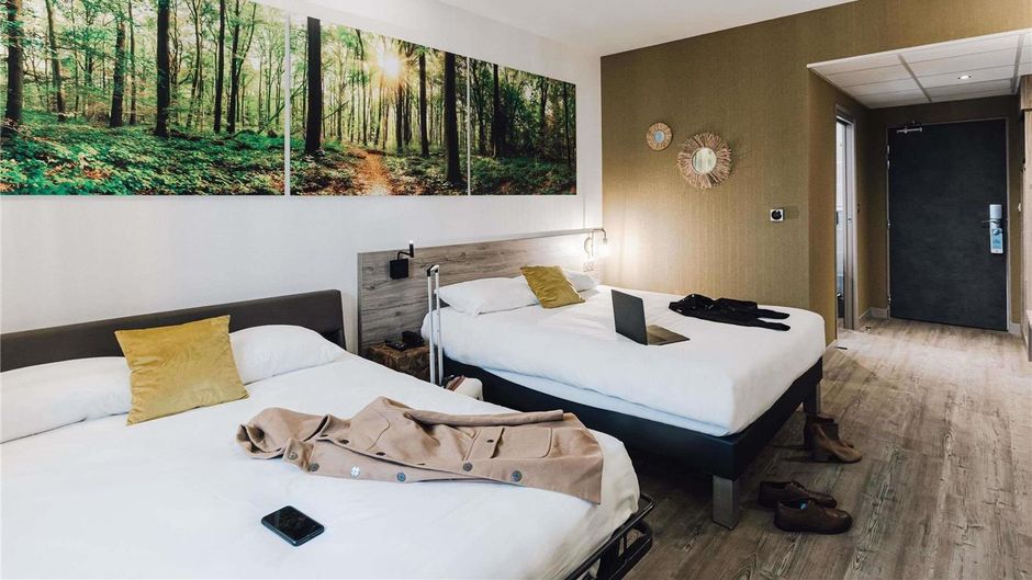Ibis Styles Contres-Cheverny Room
