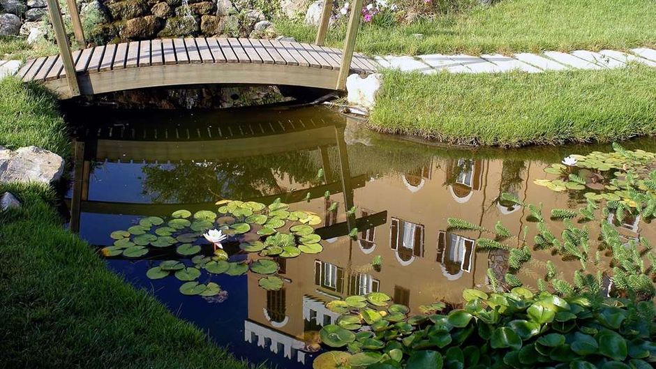 Villa las Tronas Hotel & Spa Other