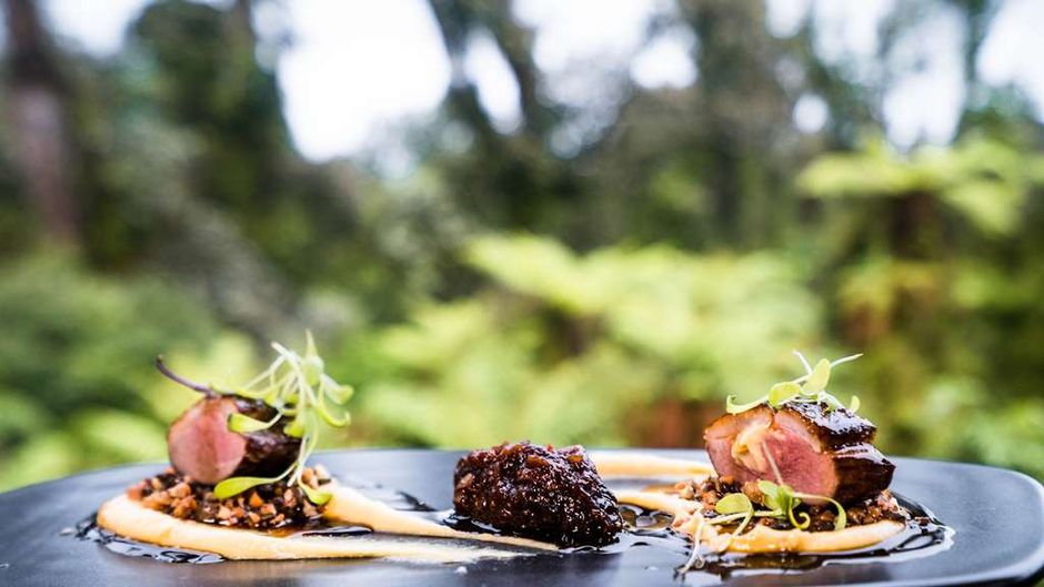 Te Waonui Forest Retreat Other