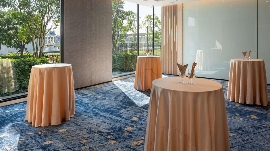 Novotel Bangkok Future Park Rangsit Meeting