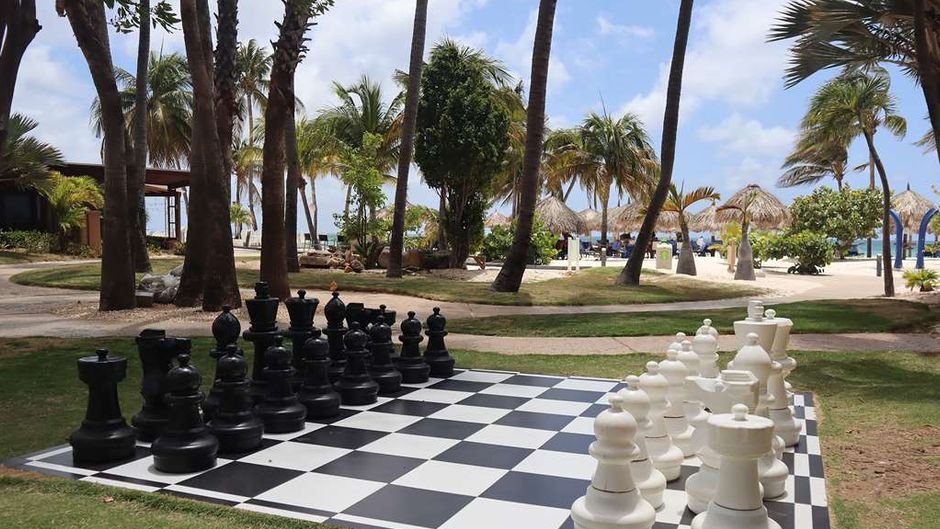 Divi Aruba Phoenix Beach Resort Recreation