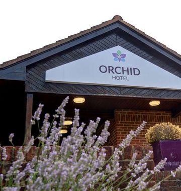 Orchid Epsom Sure Hotel Collection by BW