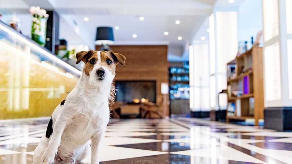 Hotel Lilla Roberts, Ascend Hotel Member Lobby