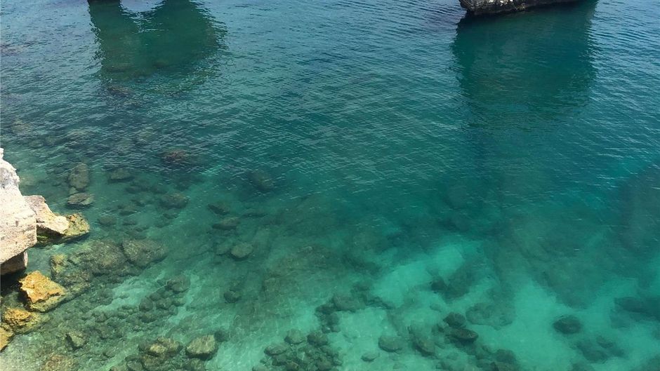 Hotel Baia delle Zagare Other