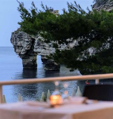 Hotel Baia delle Zagare