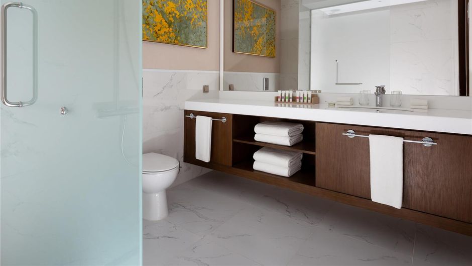 Swissotel Wellness Resort Alatau Almaty Room