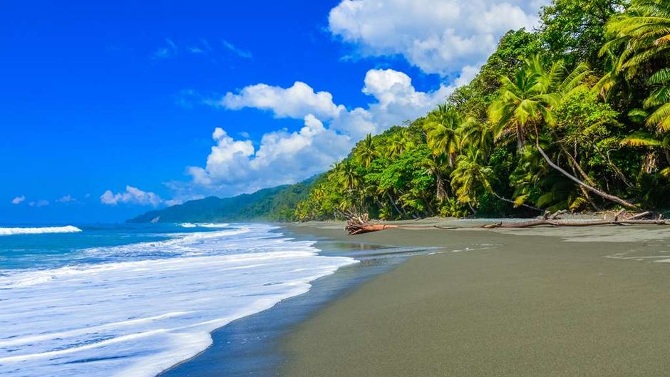 Botanika Osa Peninsula Curio Collection Beach