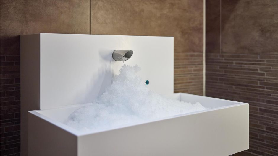 DoubleTree by Hilton Hannover Schweizerh Recreation