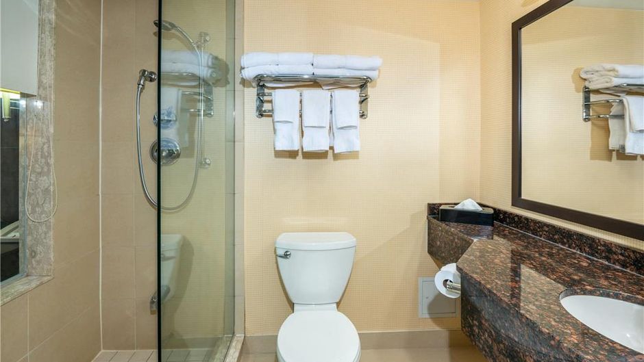 Comfort Inn & Conf Cntr Toronto Airport Room