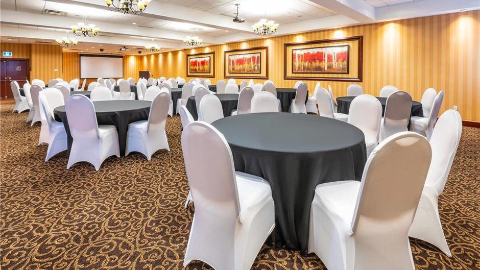 Comfort Inn & Conf Cntr Toronto Airport Other