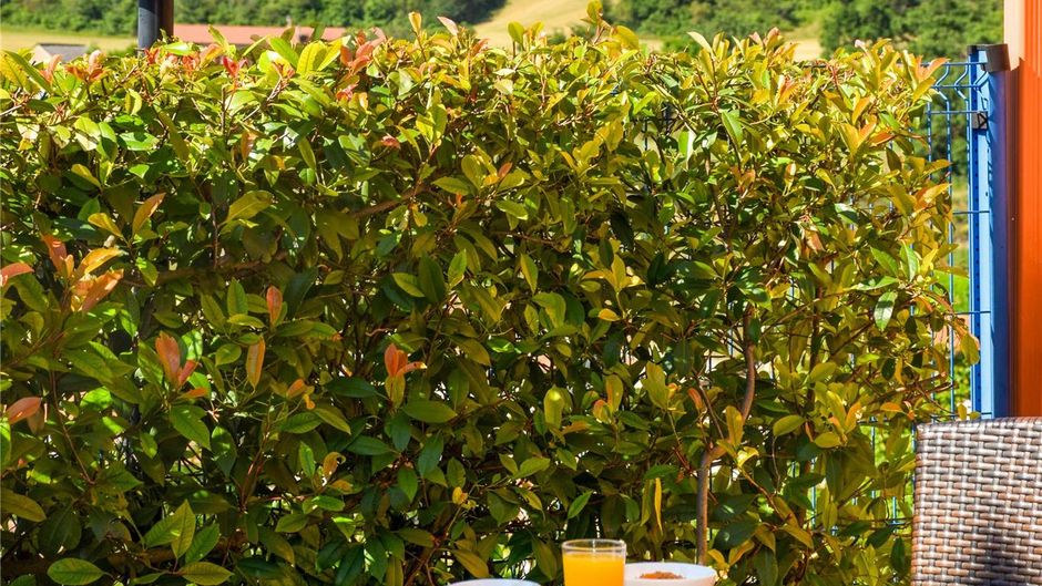 Ibis Budget Millau Viaduc Restaurant