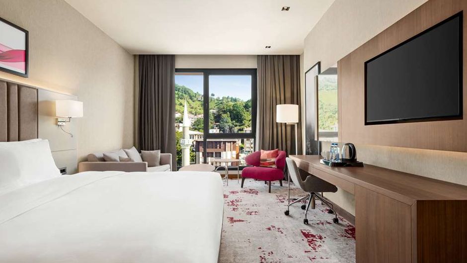 Ramada by Wyndham Rize Findikli Room