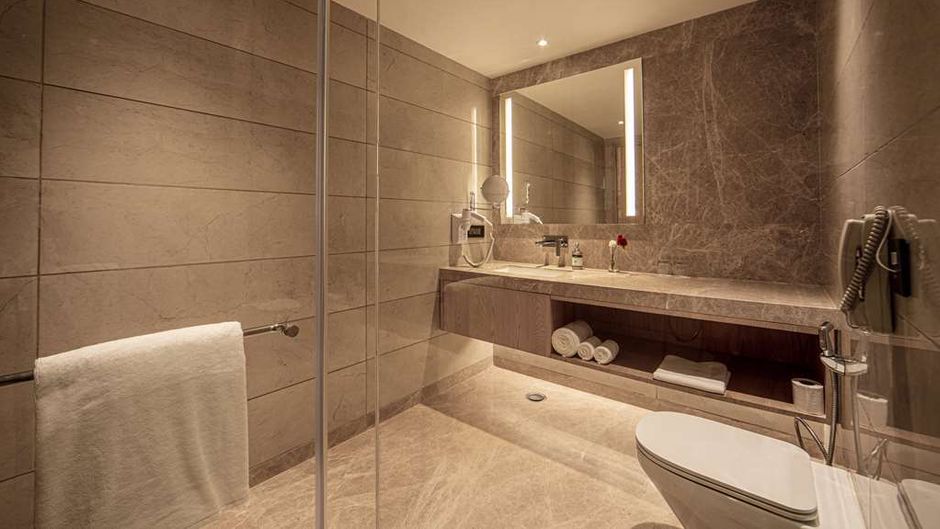 The Gaurs Sarovar Premiere Room