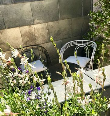 Hotel Recamier