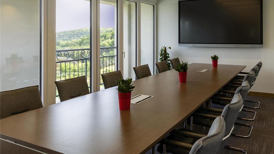Moevenpick Resort and Spa Fruske Terme Meeting