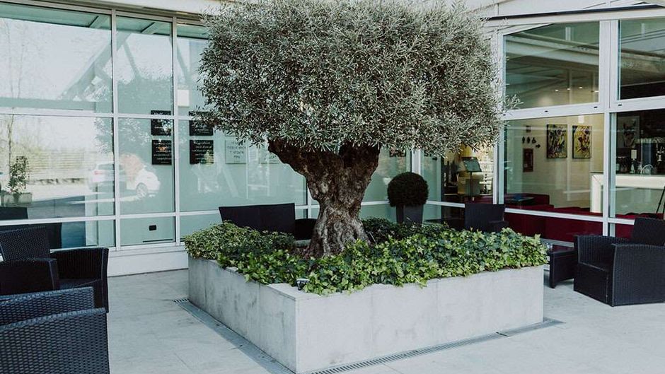 Hotels Carpi Exterior