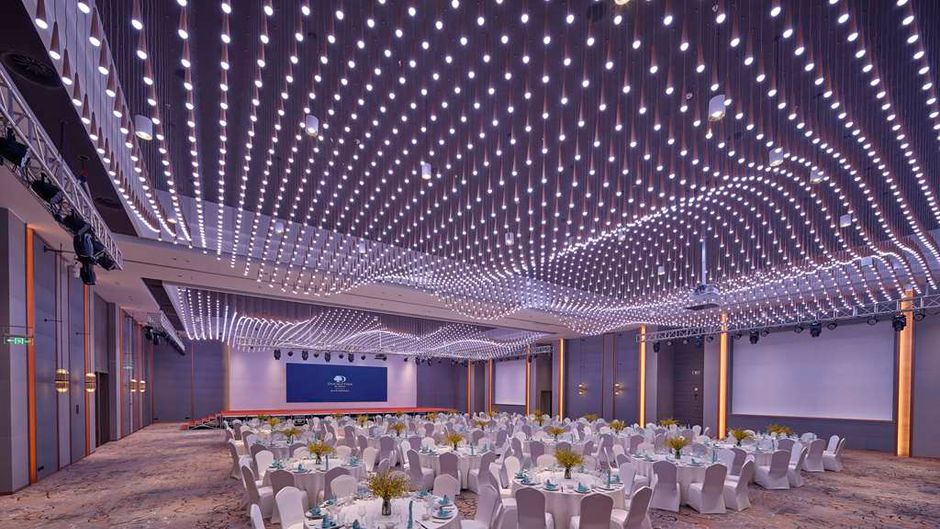 DoubleTree by Hilton Anshan Meeting