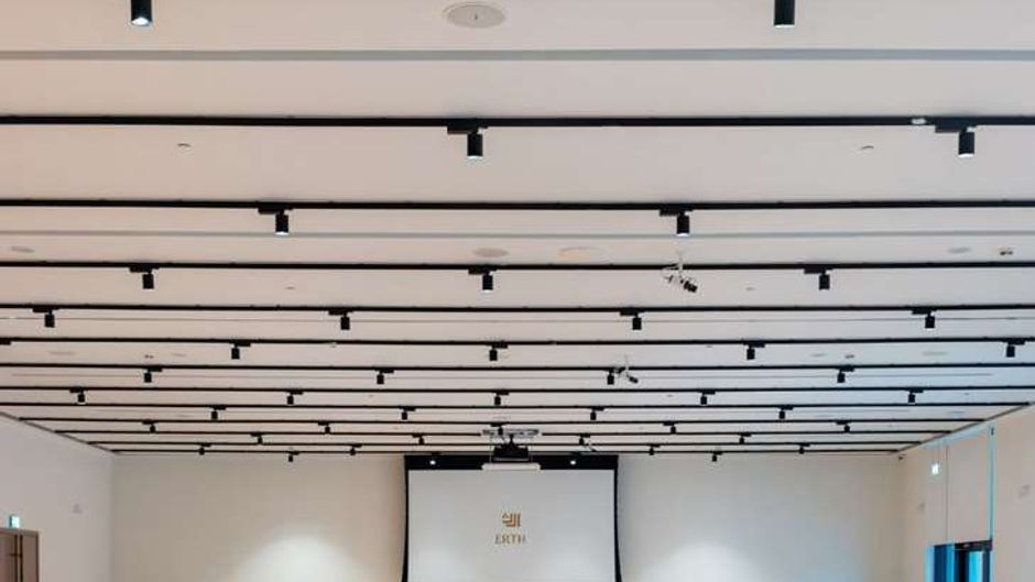 Erth Aub Dhabi Meeting