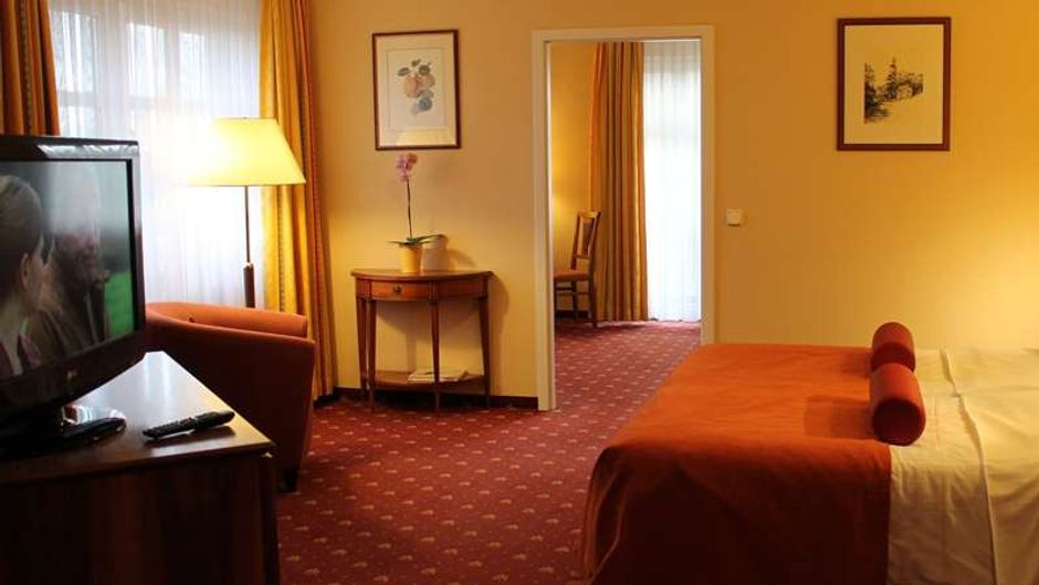 Ringhotel Zum Stein Room