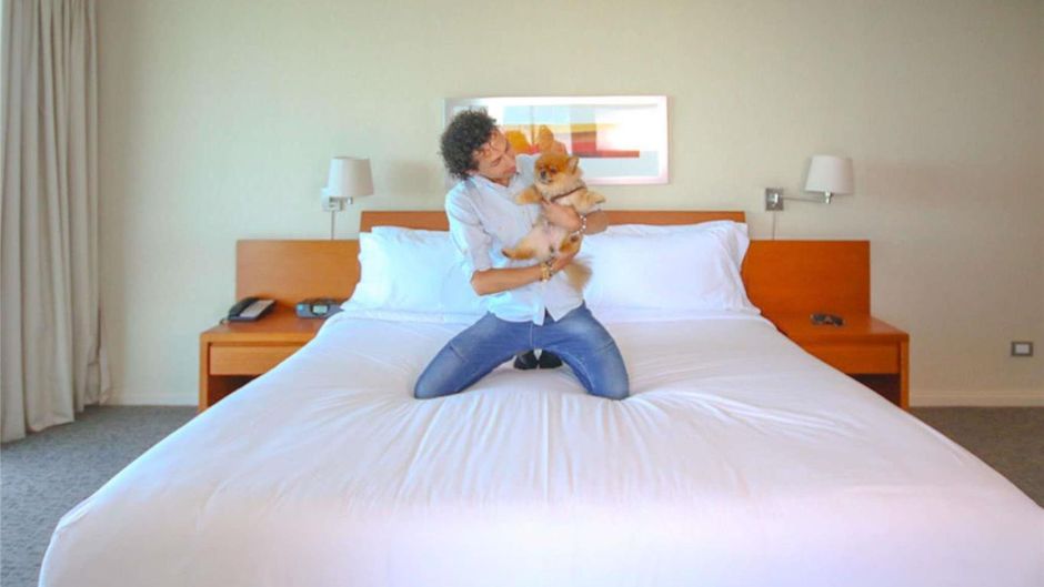 Novotel Puerto Montt Room