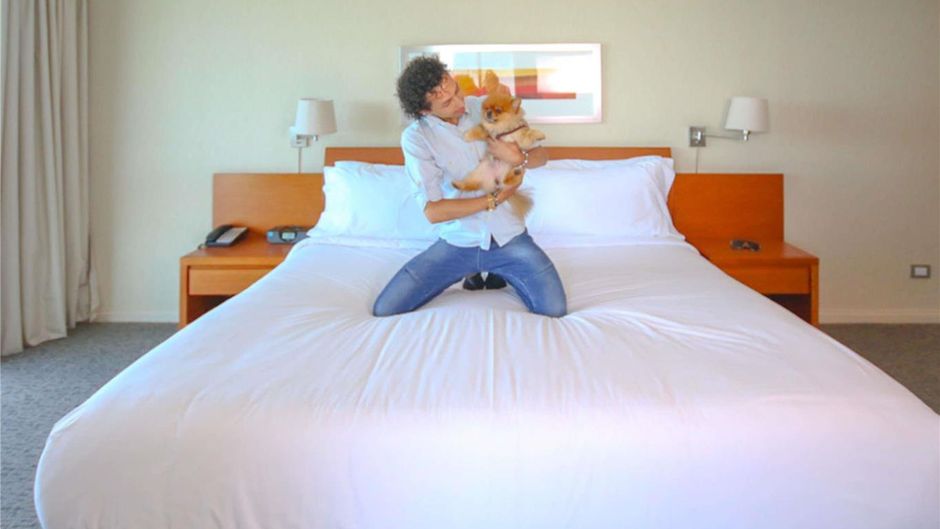 Novotel Puerto Montt Room