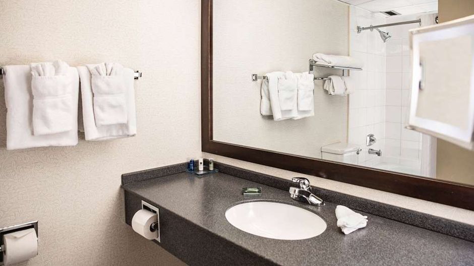 Wyndham Edmonton Hotel & Conference Cntr Room