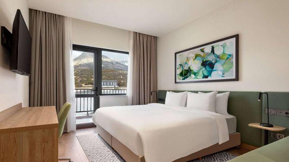 Wyndham Garden Zomin Room