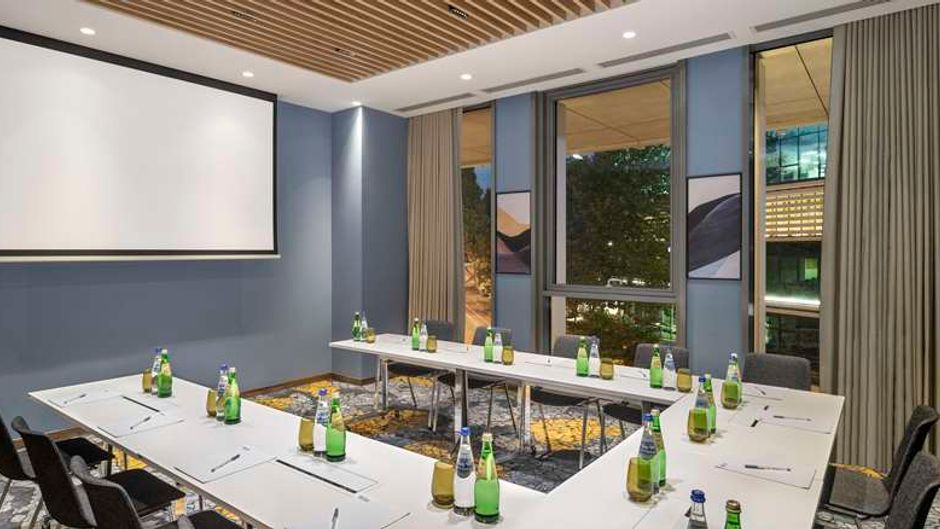 Hilton Garden Inn Tbilisi Riverview Meeting