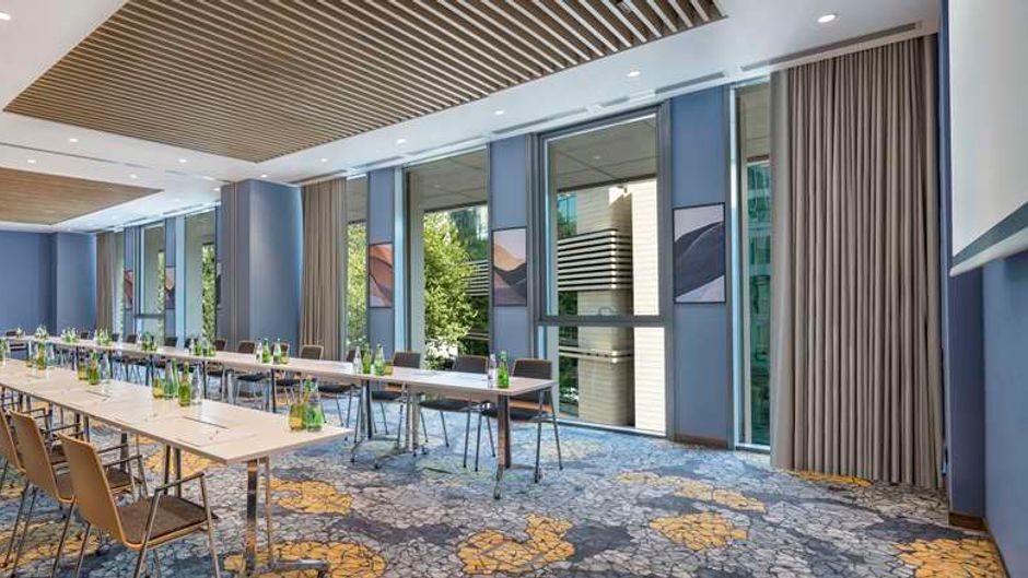 Hilton Garden Inn Tbilisi Riverview Meeting