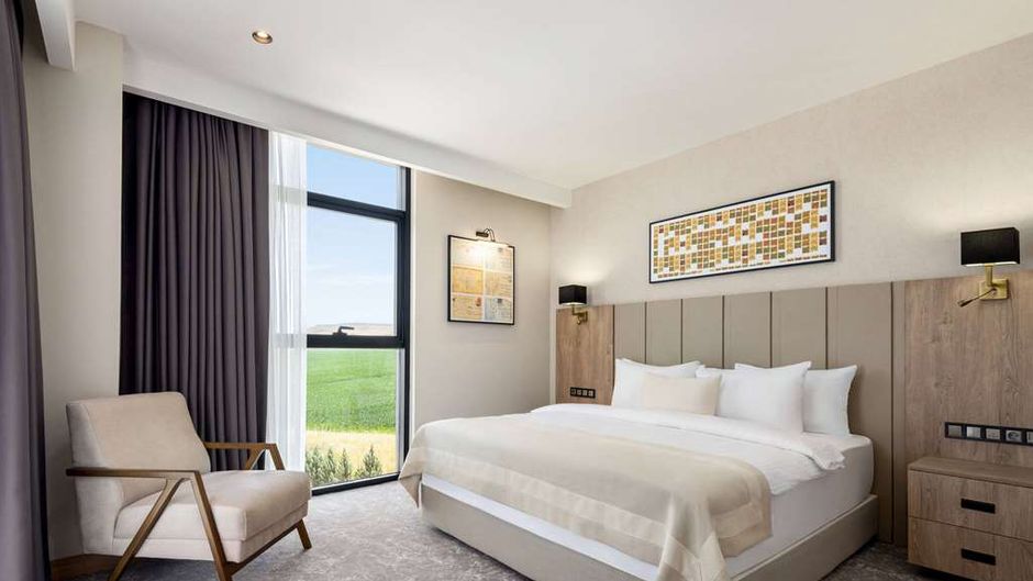 Ramada Plaza By Wyndham Batman Suite