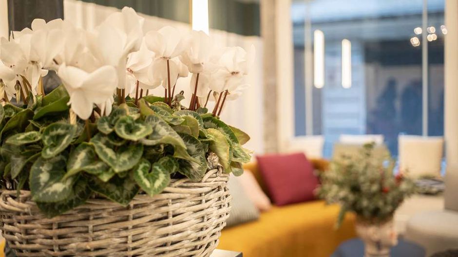 Hotel Soho Boutique Congreso Lobby