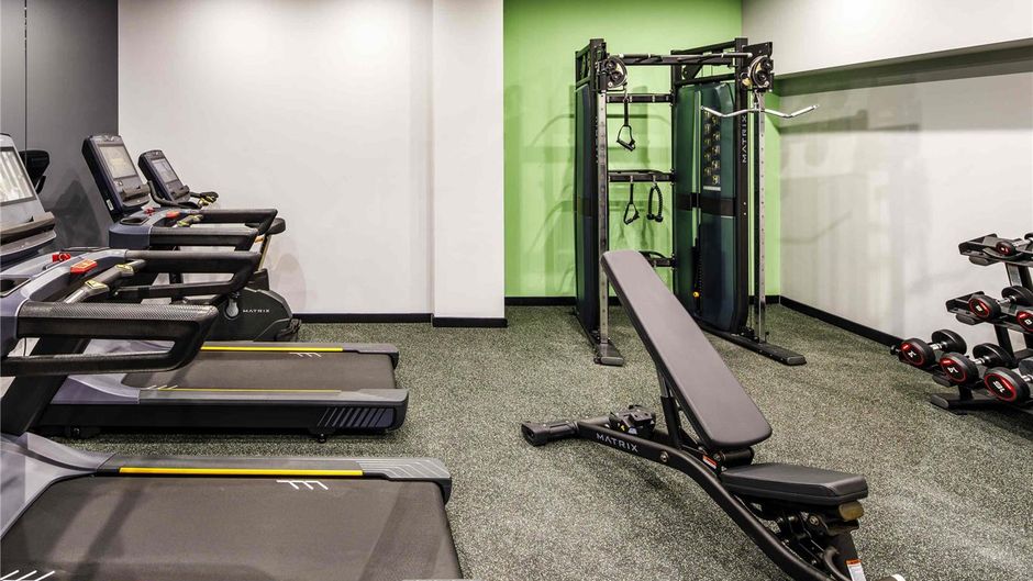 Ibis Styles Paignton Health