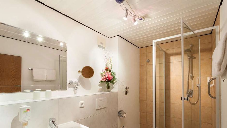 mD-Hotel Alpenrose Room