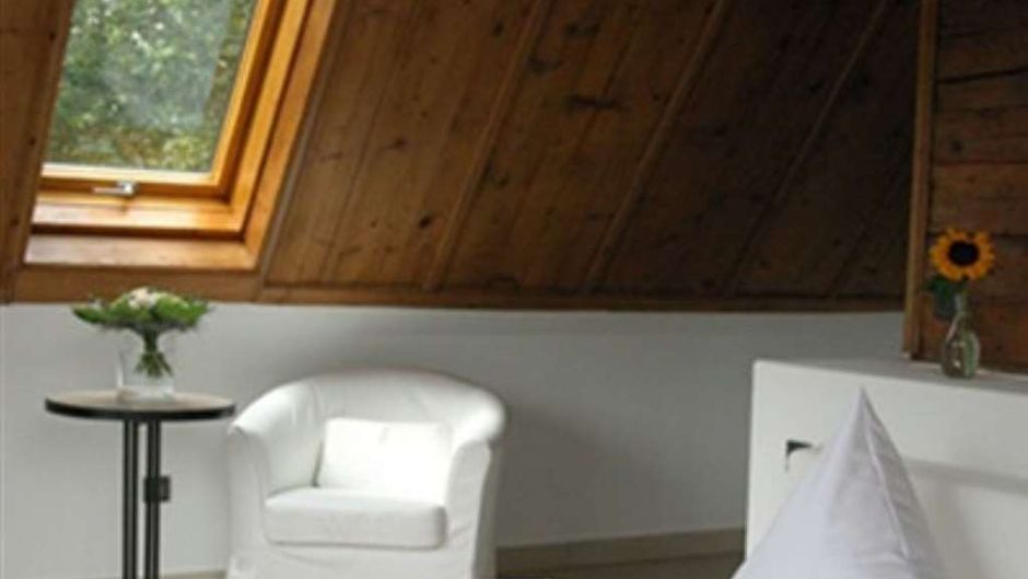 Landhotel Alte Muehle Room