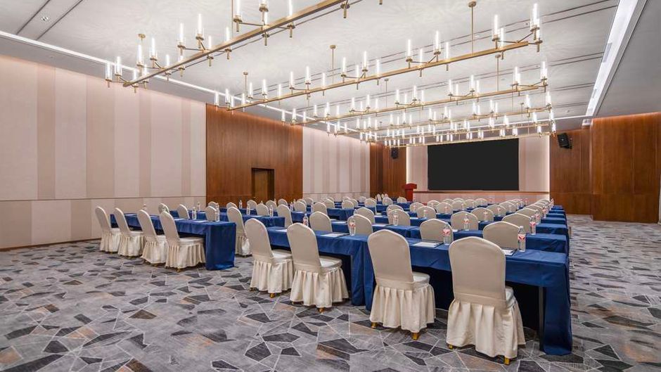 Hilton Garden Inn High-Speed Railway Stn Meeting