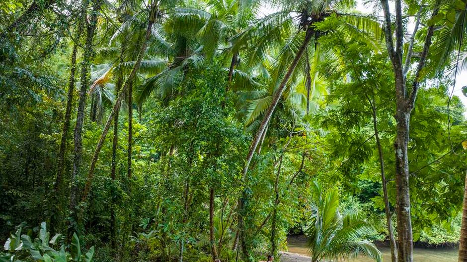 Playa Cativo Lodge Recreation