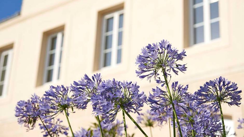 Best Western Premier des Vignes Exterior