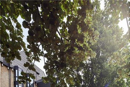 Parkhotel Guetersloh